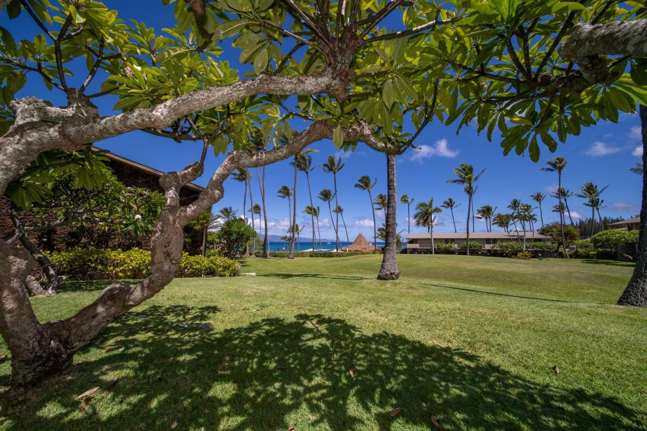 Napili Shores Maui By Outrigger - No Resort & Housekeeping Fees Lahaina Dış mekan fotoğraf