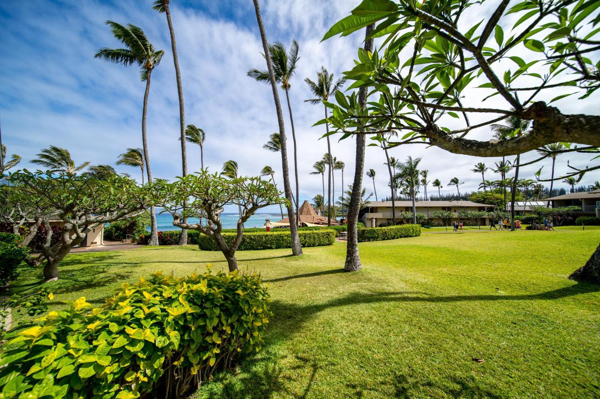 Napili Shores Maui By Outrigger - No Resort & Housekeeping Fees Lahaina Oda fotoğraf